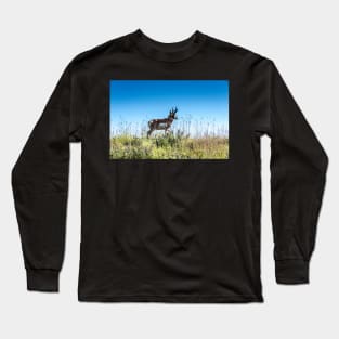 Pronghorn King of the Mountain Long Sleeve T-Shirt